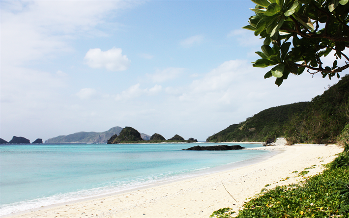 Mar, Ilha De Amami, Oriente Mar De China, praia, costa, Jap&#227;o