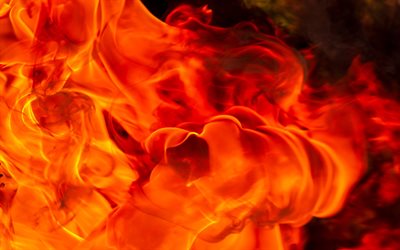 fire flames, close-up, orange flames, macro, bonfire, orange fire texture, flames of fire