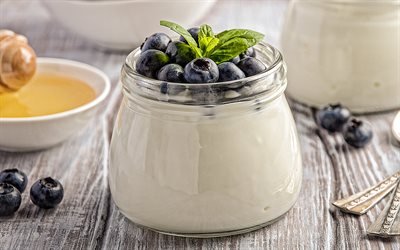 yogurt, dairy products, milk dessert, blueberry yogurt, yogurt with berries