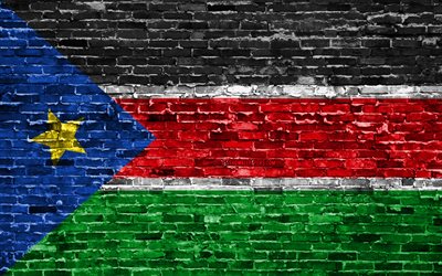 4k, South Sudan flag, bricks texture, Africa, national symbols, Flag of South Sudan, brickwall, South Sudan 3D flag, African countries, South Sudan