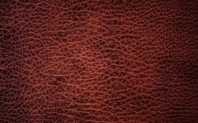 cuir marron texture, 4k, textures de cuir, de couleur marron, d&#39;origines, de cuir, de milieux, de la macro, de cuir marron fond