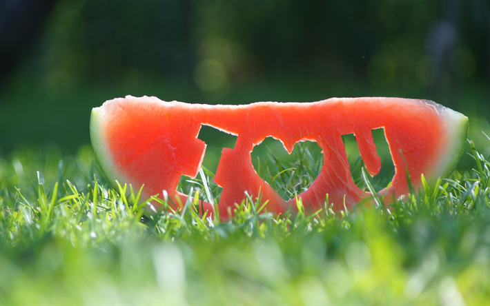 Eu Amo Voc&#234;, 4k, conceitos de amor, fatia de melancia, bokeh, o verde da relva, melancia
