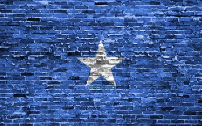 4k, Somalia flag, bricks texture, Africa, national symbols, Flag of Somalia, brickwall, Somalia 3D flag, African countries, Somalia