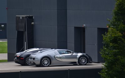 Bugatti Veyron, hypercar, supercars, gray Veyron
