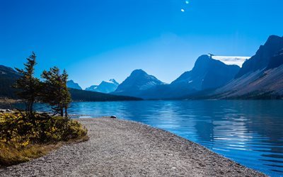 Bow Lake, costa, montagna, estate, Parco Nazionale di Banff, Alberta, Canada