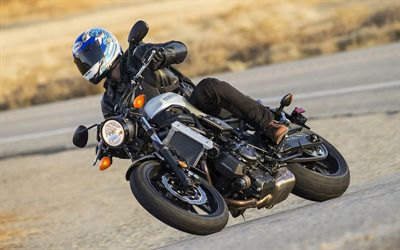 Yamaha XSR700 Sport, Patrimonio, 2018 moto, pilota, superbike, Yamaha XSR700, giapponese motorcyles, Yamaha