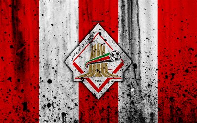 4k, le FC Sharjah, grunge, &#201;MIRATS arabes unis de la Ligue, football, club de football, &#201;MIRATS arabes unis, Sharjah, cr&#233;atif, texture de pierre, Sharjah FC