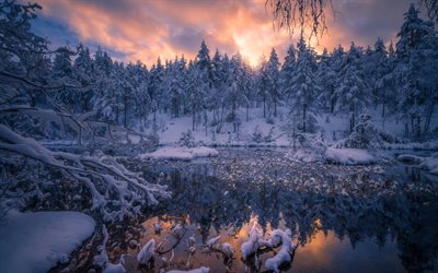 lago, invierno, bosque, nieve, puesta de sol, paisaje de invierno cubierto de nieve de los &#225;rboles