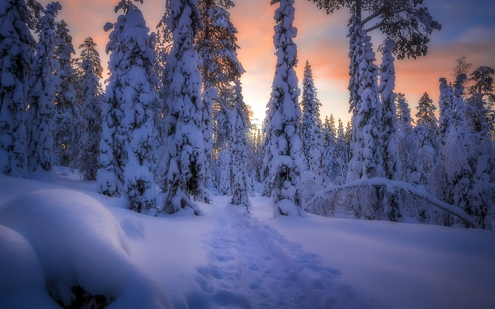 inverno, tramonto, montagne, alberi, neve, derive, paesaggio invernale