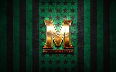 Bandeira de Maryland Terrapins, NCAA, fundo de metal preto verde, time de futebol americano, logotipo do Maryland Terrapins, EUA, futebol americano, logotipo dourado, Maryland Terrapins
