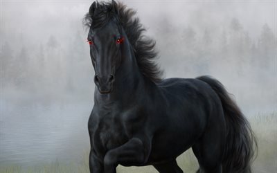 schwarzes pferd, pferdekutsche, pferd