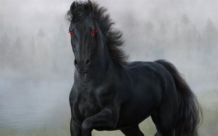 caballo negro, tirado por caballos, caballo