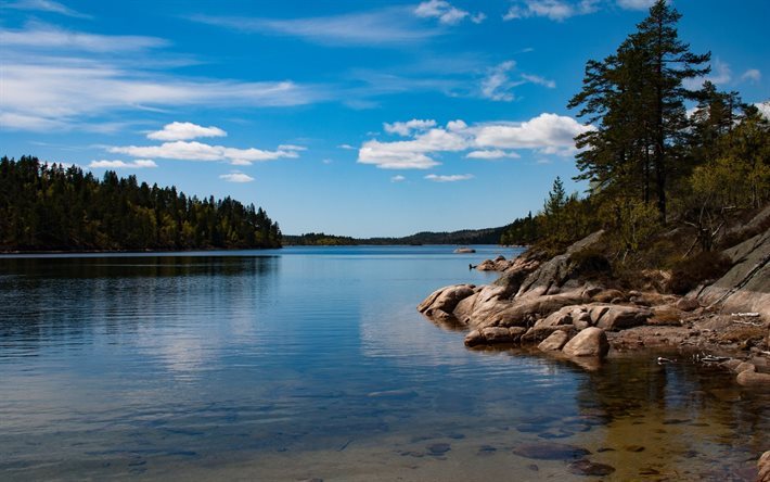 hermoso lago, Noruega, bosque, cielo azul, naturaleza