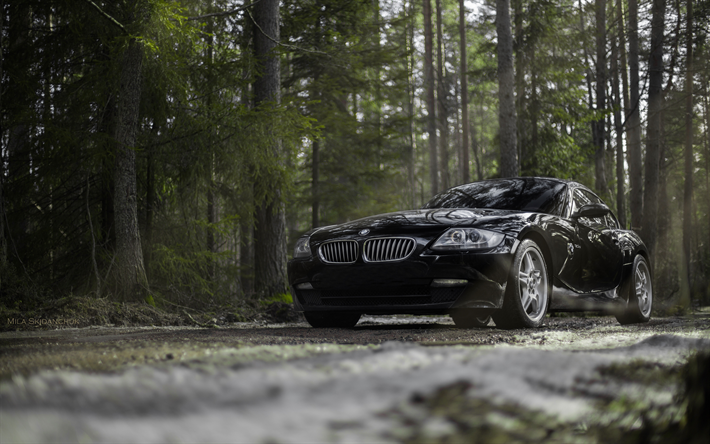 BMW Z4, 4k, floresta, supercarros, preto z4, offroad, roadster, BMW