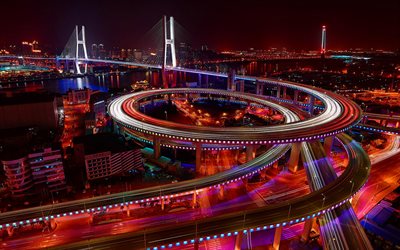 Puente Nanpu, noche, Huangpu Qu, Shanghai, China, Asia