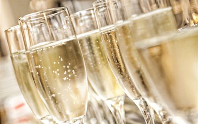 champagne, glass glasses, background with champagne, drinks, champagne in glasses
