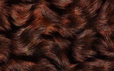 lana marrone texture, animali da pelliccia texture, lana, sfondi, pelliccia marrone texture
