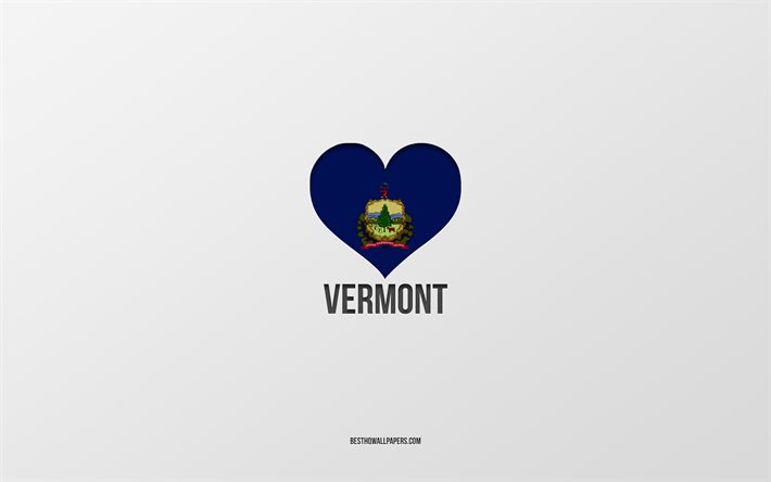 Amo il Vermont, Stati americani, sfondo grigio, Stato del Vermont, USA, Bandiera del Vermont cuore, Stati preferiti, Amore Vermont
