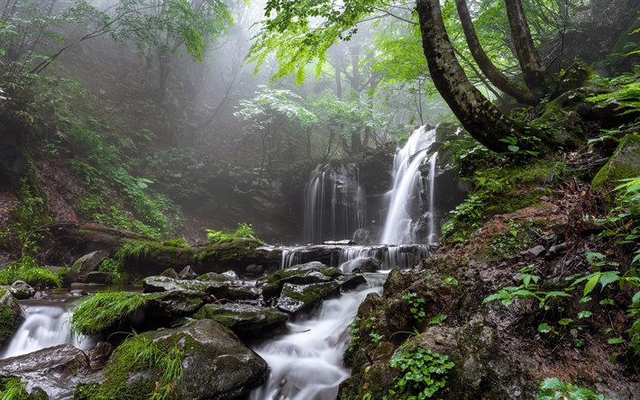 mountain waterfall, forest, rocks, fog, waterfalls, mountain river