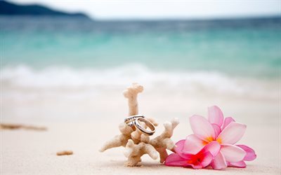 wedding rings, sand, beach, wedding on islands, pink flowers