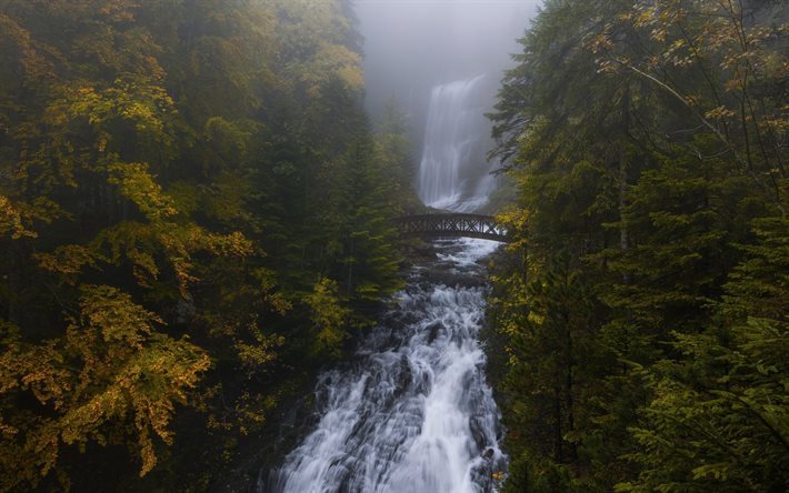 autumn, waterfall, forest, hanging bridge, beautiful waterfall, river