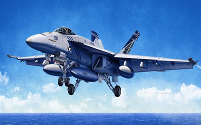 McDonnell Douglas FA-18 Hornet, ponte caccia, aerei militari, F-18, US Air Force, arte