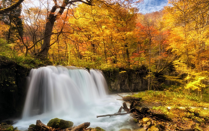 waterfall, autumn forest, yellow trees, autumn, river, yellow leaves