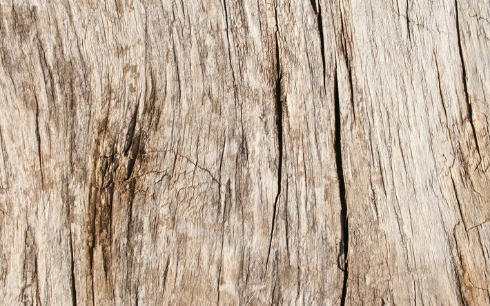 marrone, di legno, texture, 4k, legno, sfondi, close-up, sfondo