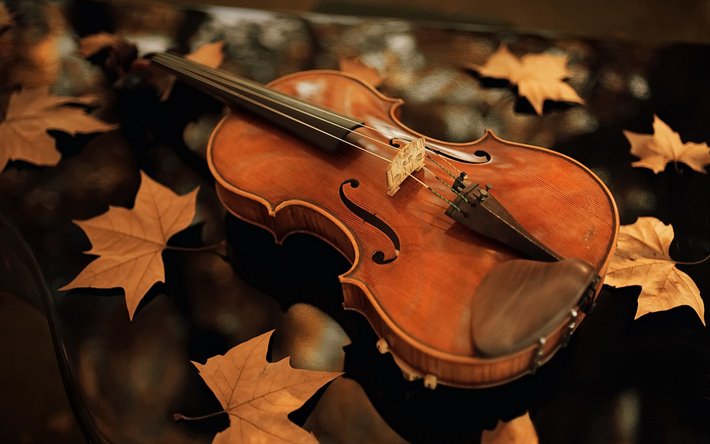 wooden violin, musical instruments, autumn, yellow leaves, black piano, violin