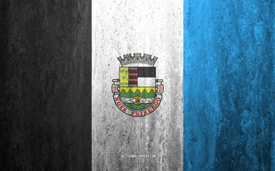 Flag of Nova Friburgo, 4k, stone background, Brazilian city, grunge flag, Nova Friburgo, Brazil, Nova Friburgo flag, grunge art, stone texture, flags of brazilian cities
