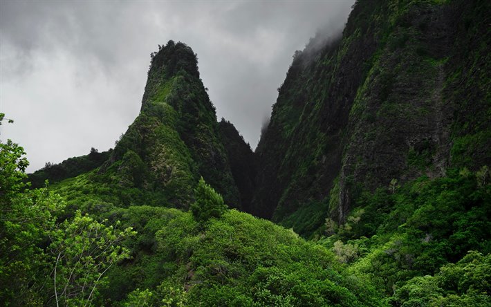 iao valley state monument, wailuku, berg, landschaft, nebel, wolken, west maui, hawaii, iao valley