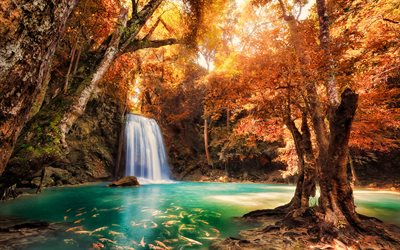 Tail&#226;ndia, outono, floresta, cachoeira, Tailand&#234;s natureza, &#193;sia, bela natureza, carpas koi