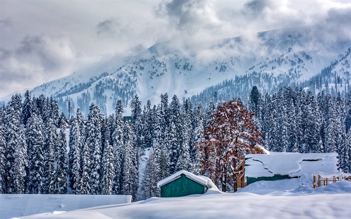 vinter, bergslandskapet, skogen, sn&#246;, Alperna, sn&#246;kl&#228;dda berg, dimma