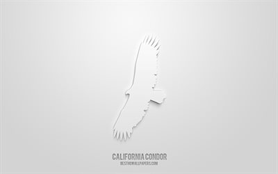 California condor 3d icon, white background, 3d symbols, California condor, creative 3d art, 3d icons, California condor sign, Birds 3d icons
