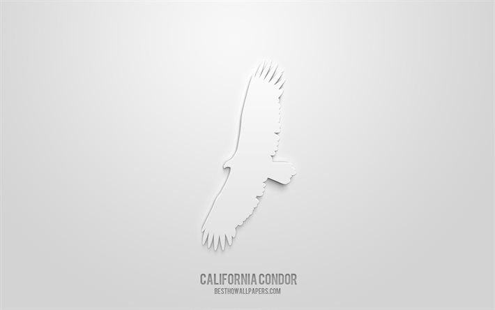 California condor 3d icon, white background, 3d symbols, California condor, creative 3d art, 3d icons, California condor sign, Birds 3d icons
