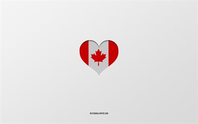 Amo il Canada, i paesi del Nord America, il Canada, lo sfondo grigio, il cuore della bandiera del Canada, il paese preferito, l&#39;amore del Canada