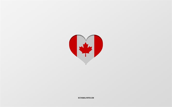 ダウンロード画像 カナダが大好き 北米諸国 カナダ 灰色の背景 カナダ国旗ハート 好きな国 フリー のピクチャを無料デスクトップの壁紙
