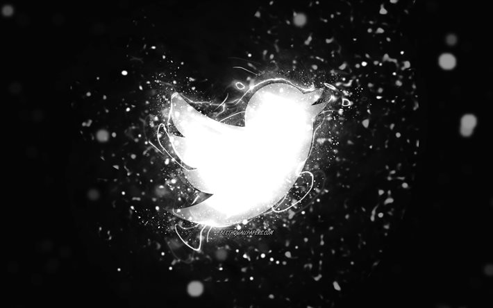 Twitter white logo, 4k, white neon lights, creative, black abstract background, Twitter logo, social network, Twitter