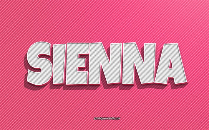 Sienna, pembe &#231;izgiler arka plan, adları olan duvar kağıtları, Sienna adı, kadın isimleri, Sienna tebrik kartı, hat sanatı, Sienna adıyla resim