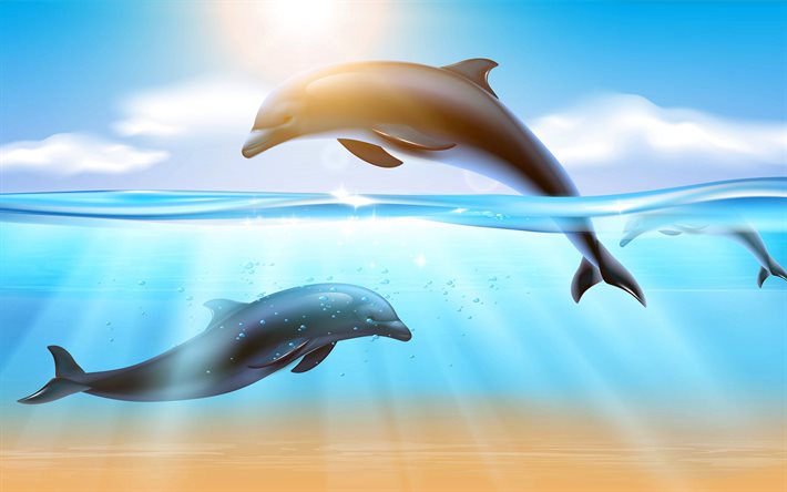delfini disegnati, mondo sottomarino, delfini, arte, mammiferi, coppia di delfini