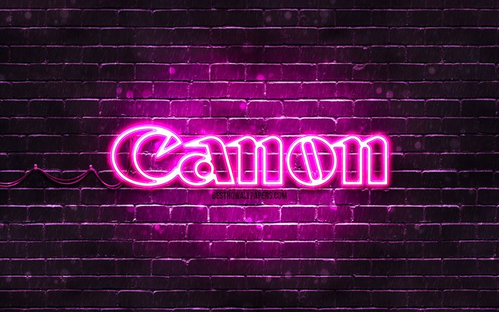 canon lila logo, 4k, lila brickwall, canon logo, marken, canon neon logo, canon