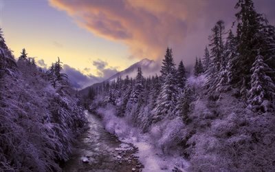 winter, forest, sunset, river, fog, frost, snow
