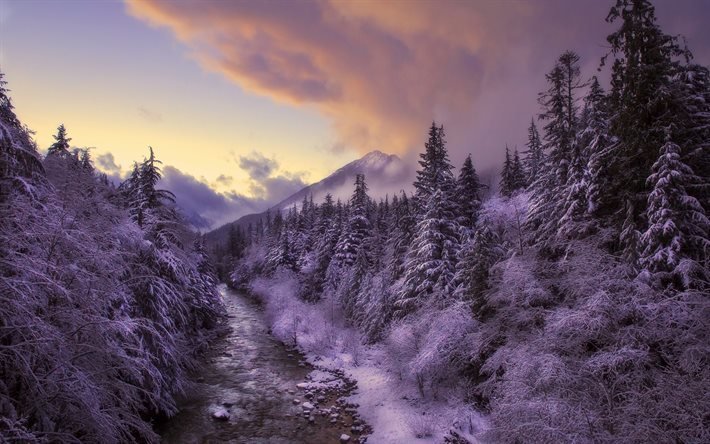 invierno, bosque, puesta del sol, r&#237;o, niebla, heladas, nieve