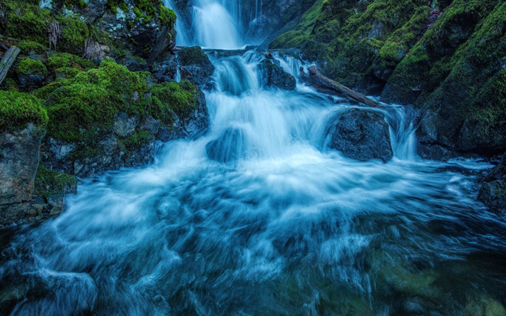 cascada, bosque, r&#237;o, Isla de Vancouver, Parques Nacionales, Canad&#225;