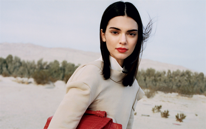 Download wallpapers Kendall Jenner, photoshoot, beige suit, red leather ...