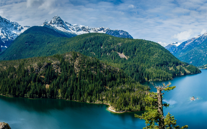 Diablo Lake, North Cascade mountains, mountain lake, Washington, USA, foresta, paesaggio di montagna