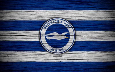 Brighton and Hove Albion, 4k, Premier League, logo, England, wooden texture, FC Brighton and Hove Albion, soccer, football, Brighton and Hove Albion FC