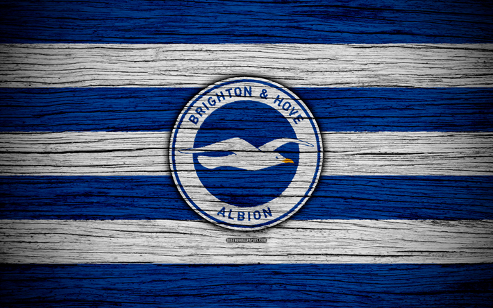 Brighton e Hove Albion, 4k, Premier League, logo, Inghilterra, legno, texture, FC Brighton e Hove Albion, calcio, Brighton e Hove Albion FC