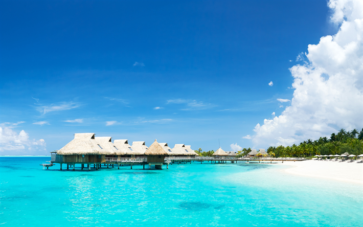 Bora-Bora, okyanus, oteller, bungalov, a&#231;ık g&#246;k mavisi, yaz, palmiye ağa&#231;ları, plaj