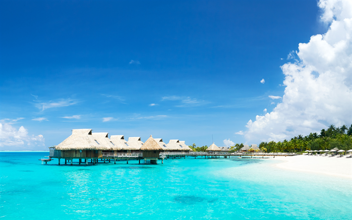 Bora-Bora, mare, hotel, bungalow, azure, estate, palme, spiaggia